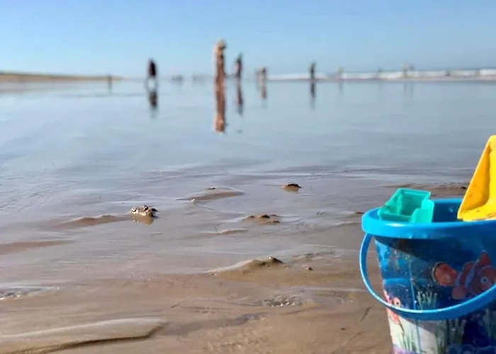 Maison T2 Avec Piscine Chauffee, Tennis Proche - Fr-1-231-304